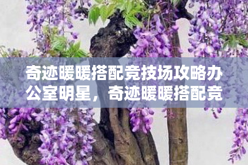 奇迹暖暖搭配竞技场攻略办公室明星,奇迹暖暖搭配竞技场攻略,打造时尚巅峰的必胜法则 奇迹暖暖搭配竞技场攻略办公室明星,奇迹暖暖搭配竞技场攻略,打造时尚巅峰的必胜法则