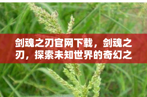 剑魂之刃官网下载,剑魂之刃,探索未知世界的奇幻之旅 剑魂之刃官网下载,剑魂之刃,探索未知世界的奇幻之旅