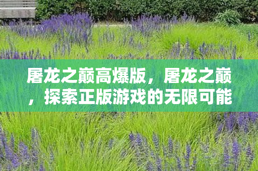 屠龙之巅高爆版,屠龙之巅,探索正版游戏的无限可能 屠龙之巅高爆版,屠龙之巅,探索正版游戏的无限可能