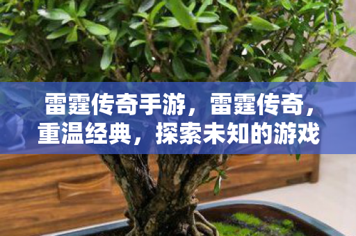 探索未知的游戏世界图片