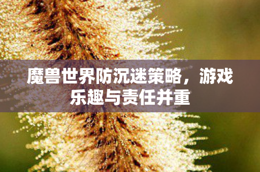 魔兽世界防沉迷策略，游戏乐趣与责任并重