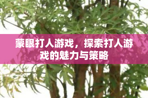 蒙眼打人游戏，探索打人游戏的魅力与策略