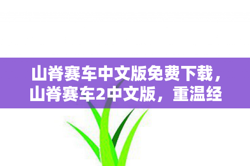 山脊赛车中文版免费下载图片