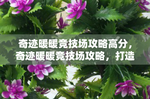 奇迹暖暖竞技场攻略高分图片