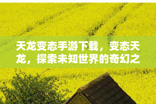 天龙变态手游下载,变态天龙,探索未知世界的奇幻之旅 天龙变态手游下载,变态天龙,探索未知世界的奇幻之旅