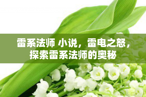 雷系法师 小说,雷电之怒,探索雷系法师的奥秘 雷系法师 小说,雷电之怒,探索雷系法师的奥秘