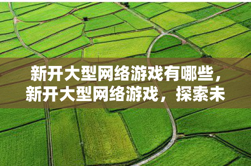 新开大型网络游戏有哪些,新开大型网络游戏,探索未知世界的奇幻之旅 新开大型网络游戏有哪些,新开大型网络游戏,探索未知世界的奇幻之旅