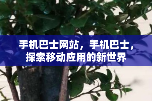 手机巴士网站,手机巴士,探索移动应用的新世界 手机巴士网站,手机巴士,探索移动应用的新世界
