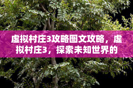 虚拟村庄3攻略图文攻略,虚拟村庄3,探索未知世界的奇妙之旅 虚拟村庄3攻略图文攻略,虚拟村庄3,探索未知世界的奇妙之旅