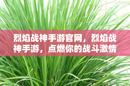 烈焰战神手游官网,烈焰战神手游,点燃你的战斗激情,探索未知的世界 烈焰战神手游官网,烈焰战神手游,点燃你的战斗激情,探索未知的世界