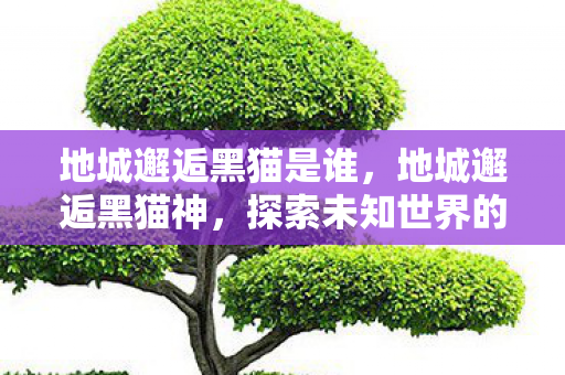 地城邂逅黑猫是谁,地城邂逅黑猫神,探索未知世界的奇幻之旅 地城邂逅黑猫是谁,地城邂逅黑猫神,探索未知世界的奇幻之旅