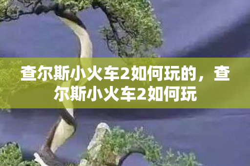 查尔斯小火车2如何玩的，查尔斯小火车2如何玩