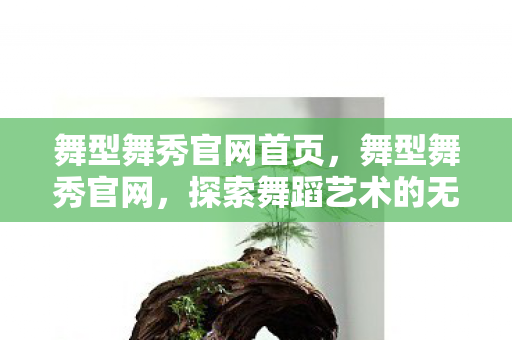 舞型舞秀官网首页,舞型舞秀官网,探索舞蹈艺术的无限可能 舞型舞秀官网首页,舞型舞秀官网,探索舞蹈艺术的无限可能
