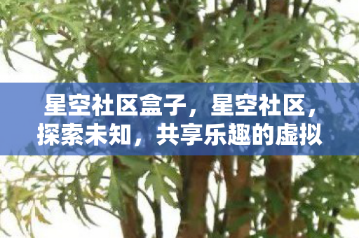 星空社区盒子,星空社区,探索未知,共享乐趣的虚拟天地 星空社区盒子,星空社区,探索未知,共享乐趣的虚拟天地
