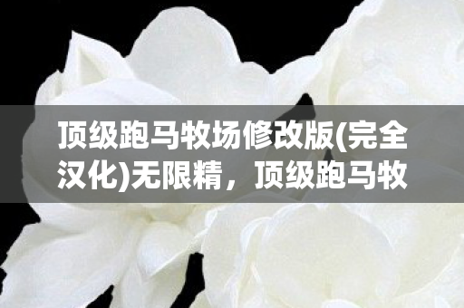 顶级跑马牧场修改版(完全汉化)无限精,顶级跑马牧场修改,探索个性化与创新的无限可能 顶级跑马牧场修改版(完全汉化)无限精,顶级跑马牧场修改,探索个性化与创新的无限可能