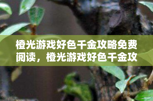 橙光游戏好色千金攻略免费阅读,橙光游戏好色千金攻略,解锁浪漫剧情与财富之路 橙光游戏好色千金攻略免费阅读,橙光游戏好色千金攻略,解锁浪漫剧情与财富之路