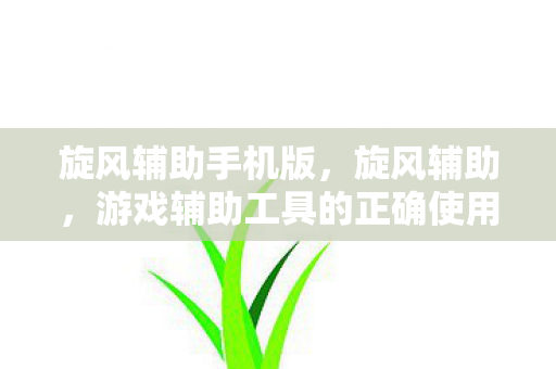 旋风辅助手机版,旋风辅助,游戏辅助工具的正确使用与合规性探讨 旋风辅助手机版,旋风辅助,游戏辅助工具的正确使用与合规性探讨