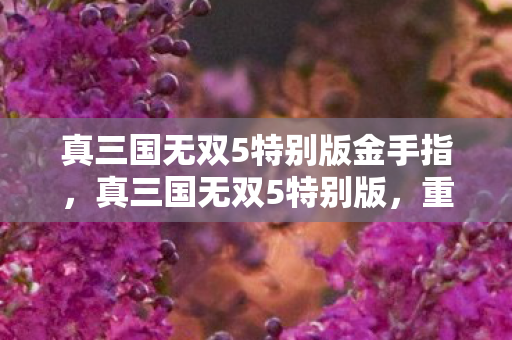 真三国无双5特别版金手指,真三国无双5特别版,重温经典,再燃战火 真三国无双5特别版金手指,真三国无双5特别版,重温经典,再燃战火