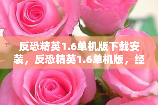 反恐精英1.6单机版下载安装,反恐精英1.6单机版,经典再现,单机娱乐新选择 反恐精英1.6单机版下载安装,反恐精英1.6单机版,经典再现,单机娱乐新选择