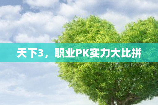 天下3,职业PK实力大比拼 天下3,职业PK实力大比拼