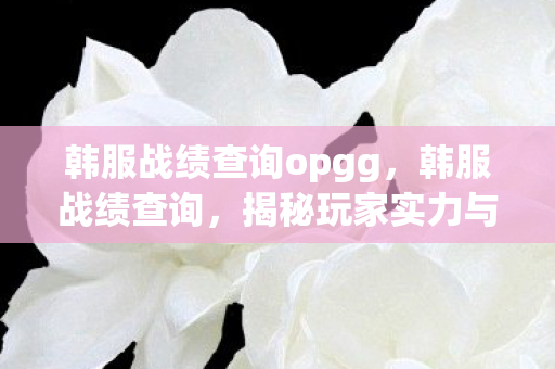 韩服战绩查询opgg,韩服战绩查询,揭秘玩家实力与荣耀的窗口 韩服战绩查询opgg,韩服战绩查询,揭秘玩家实力与荣耀的窗口