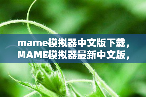 mame模拟器中文版下载,MAME模拟器最新中文版,经典游戏的时光机 mame模拟器中文版下载,MAME模拟器最新中文版,经典游戏的时光机