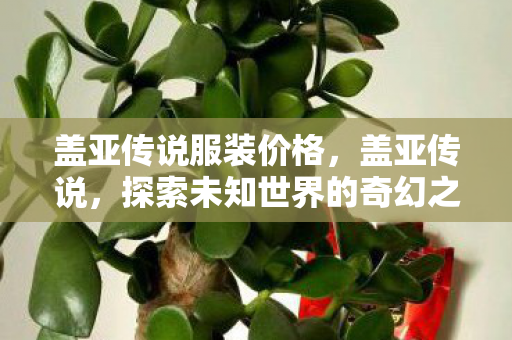 盖亚传说服装价格,盖亚传说,探索未知世界的奇幻之旅 盖亚传说服装价格,盖亚传说,探索未知世界的奇幻之旅