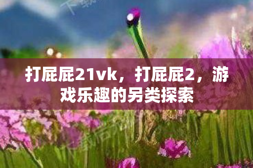 打屁屁21vk，打屁屁2，游戏乐趣的另类探索