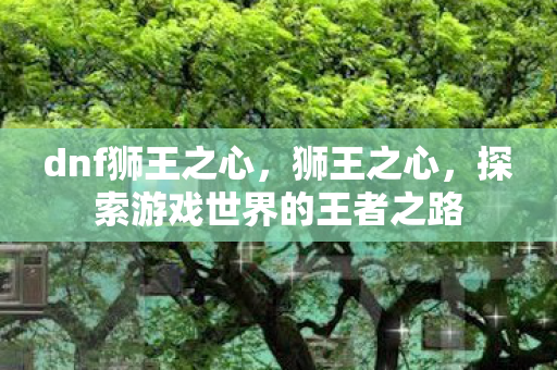 dnf狮王之心，狮王之心，探索游戏世界的王者之路