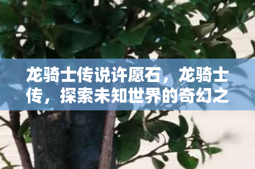 龙骑士传说许愿石，龙骑士传，探索未知世界的奇幻之旅
