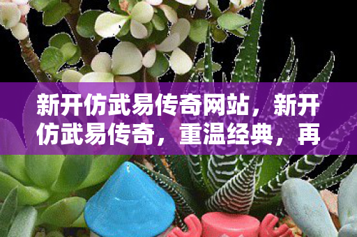 新开仿武易传奇网站，新开仿武易传奇，重温经典，再续传奇