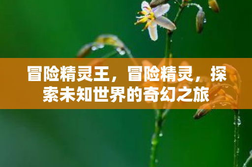 冒险精灵王，冒险精灵，探索未知世界的奇幻之旅