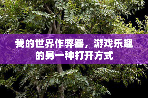 我的世界作弊器,游戏乐趣的另一种打开方式 我的世界作弊器,游戏乐趣的另一种打开方式