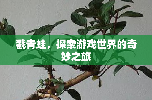 戳青蛙，探索游戏世界的奇妙之旅