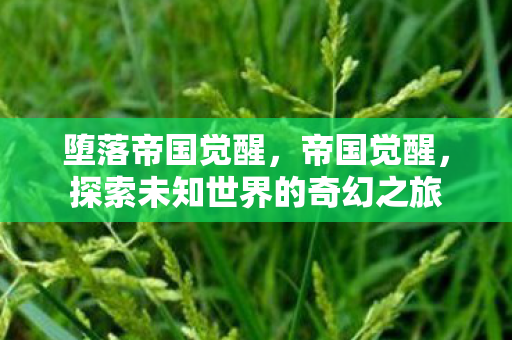 堕落帝国觉醒，帝国觉醒，探索未知世界的奇幻之旅