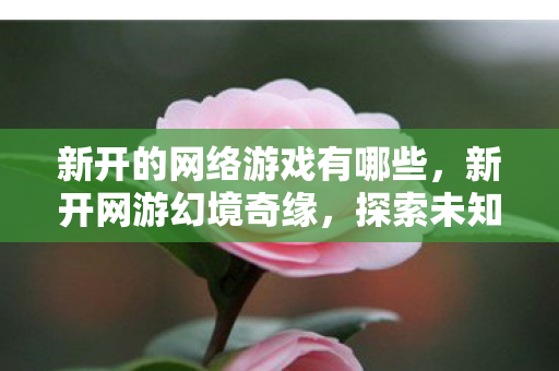 新开的网络游戏有哪些,新开网游幻境奇缘,探索未知世界的奇幻之旅 新开的网络游戏有哪些,新开网游幻境奇缘,探索未知世界的奇幻之旅