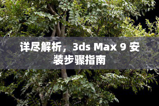 详尽解析，3ds Max 9 安装步骤指南