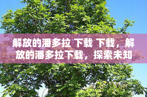 解放的潘多拉 下载 下载,解放的潘多拉下载,探索未知世界的奇妙之旅 解放的潘多拉 下载 下载,解放的潘多拉下载,探索未知世界的奇妙之旅