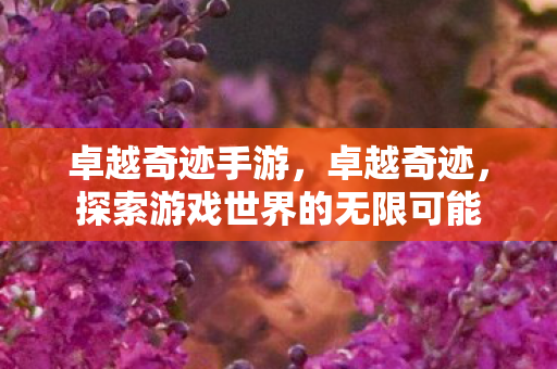 卓越奇迹手游,卓越奇迹,探索游戏世界的无限可能 卓越奇迹手游,卓越奇迹,探索游戏世界的无限可能