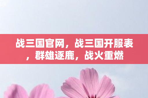 战三国官网,战三国开服表,群雄逐鹿,战火重燃 战三国官网,战三国开服表,群雄逐鹿,战火重燃