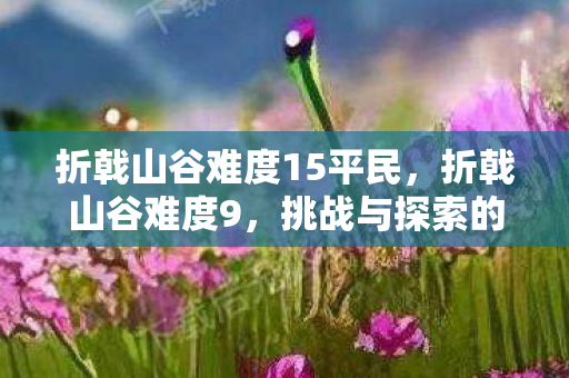 折戟山谷难度15平民，折戟山谷难度9，挑战与探索的边界
