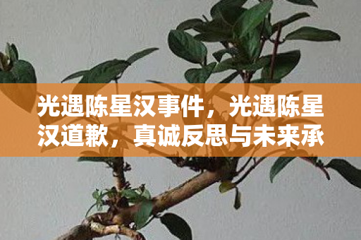 光遇陈星汉事件,光遇陈星汉道歉,真诚反思与未来承诺 光遇陈星汉事件,光遇陈星汉道歉,真诚反思与未来承诺