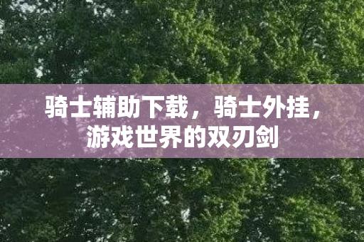 骑士辅助下载,骑士外挂,游戏世界的双刃剑 骑士辅助下载,骑士外挂,游戏世界的双刃剑
