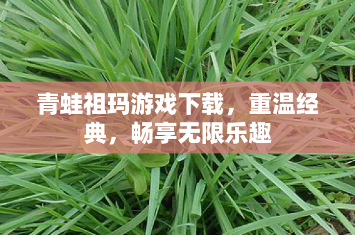 青蛙祖玛游戏下载,重温经典,畅享无限乐趣 青蛙祖玛游戏下载,重温经典,畅享无限乐趣