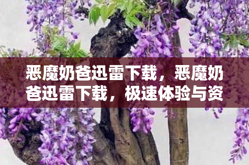 恶魔奶爸迅雷下载,恶魔奶爸迅雷下载,极速体验与资源分享 恶魔奶爸迅雷下载,恶魔奶爸迅雷下载,极速体验与资源分享