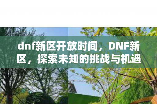 dnf新区开放时间,DNF新区,探索未知的挑战与机遇 dnf新区开放时间,DNF新区,探索未知的挑战与机遇