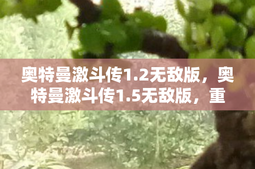 奥特曼激斗传1.2无敌版,奥特曼激斗传1.5无敌版,重温经典,畅享无限战斗 奥特曼激斗传1.2无敌版,奥特曼激斗传1.5无敌版,重温经典,畅享无限战斗
