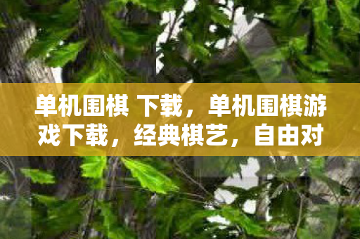 单机围棋 下载,单机围棋游戏下载,经典棋艺,自由对弈的乐园 单机围棋 下载,单机围棋游戏下载,经典棋艺,自由对弈的乐园