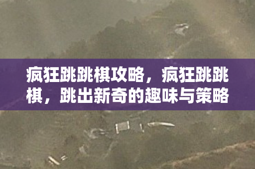疯狂跳跳棋攻略，疯狂跳跳棋，跳出新奇的趣味与策略