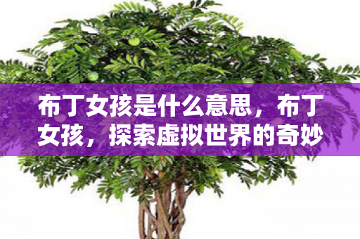 布丁女孩是什么意思,布丁女孩,探索虚拟世界的奇妙之旅 布丁女孩是什么意思,布丁女孩,探索虚拟世界的奇妙之旅